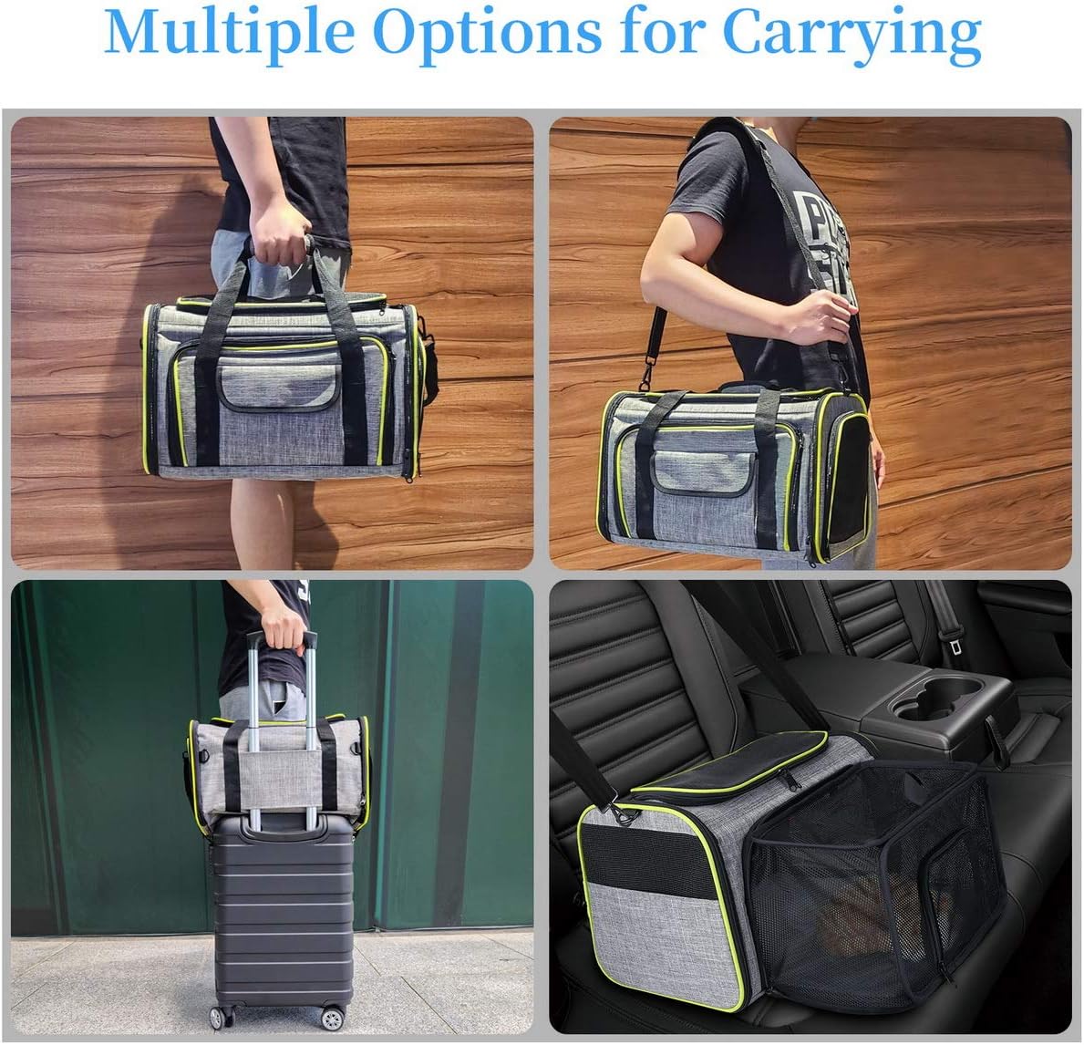 Transportbox