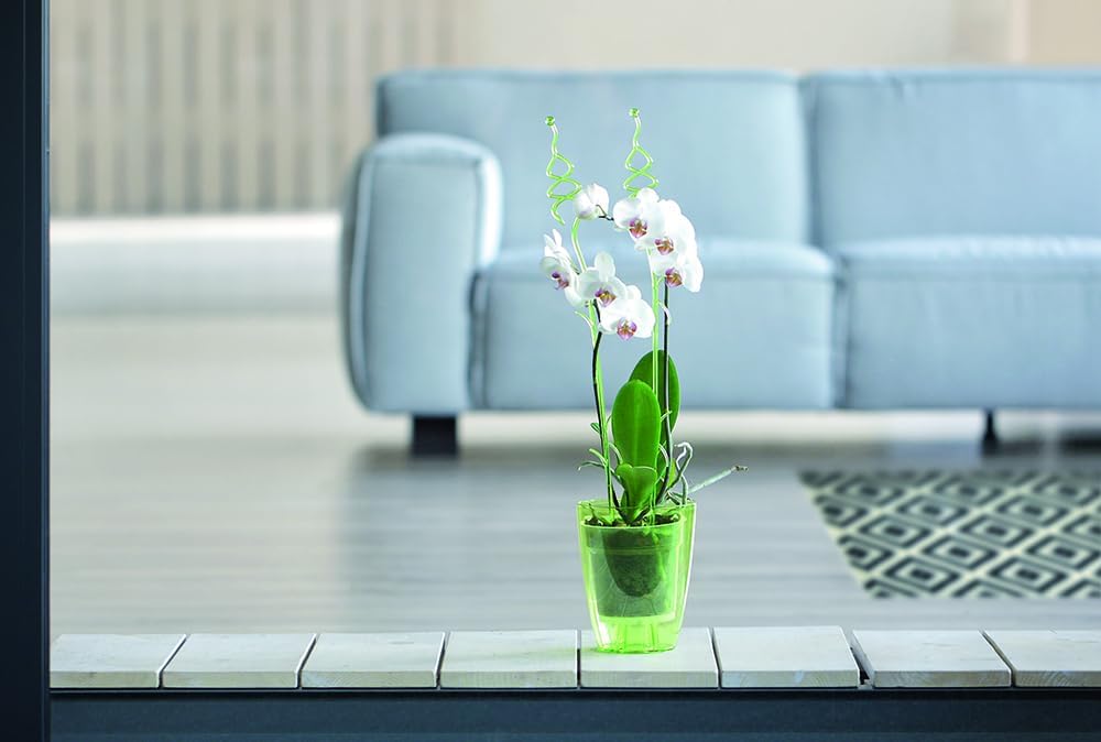 Orchideenstab Kunststoff, 58,5 cm Transparent