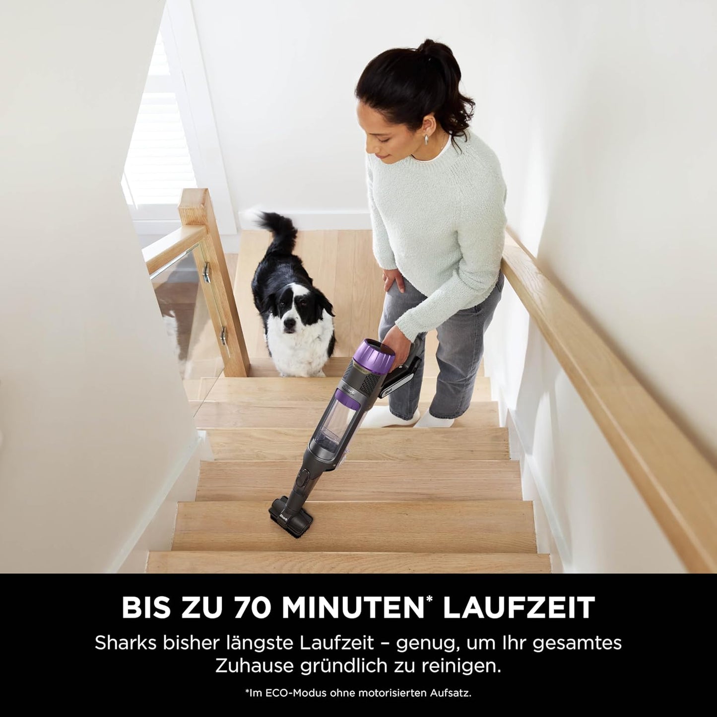 Detect Pro Max Akku-Staubsauger