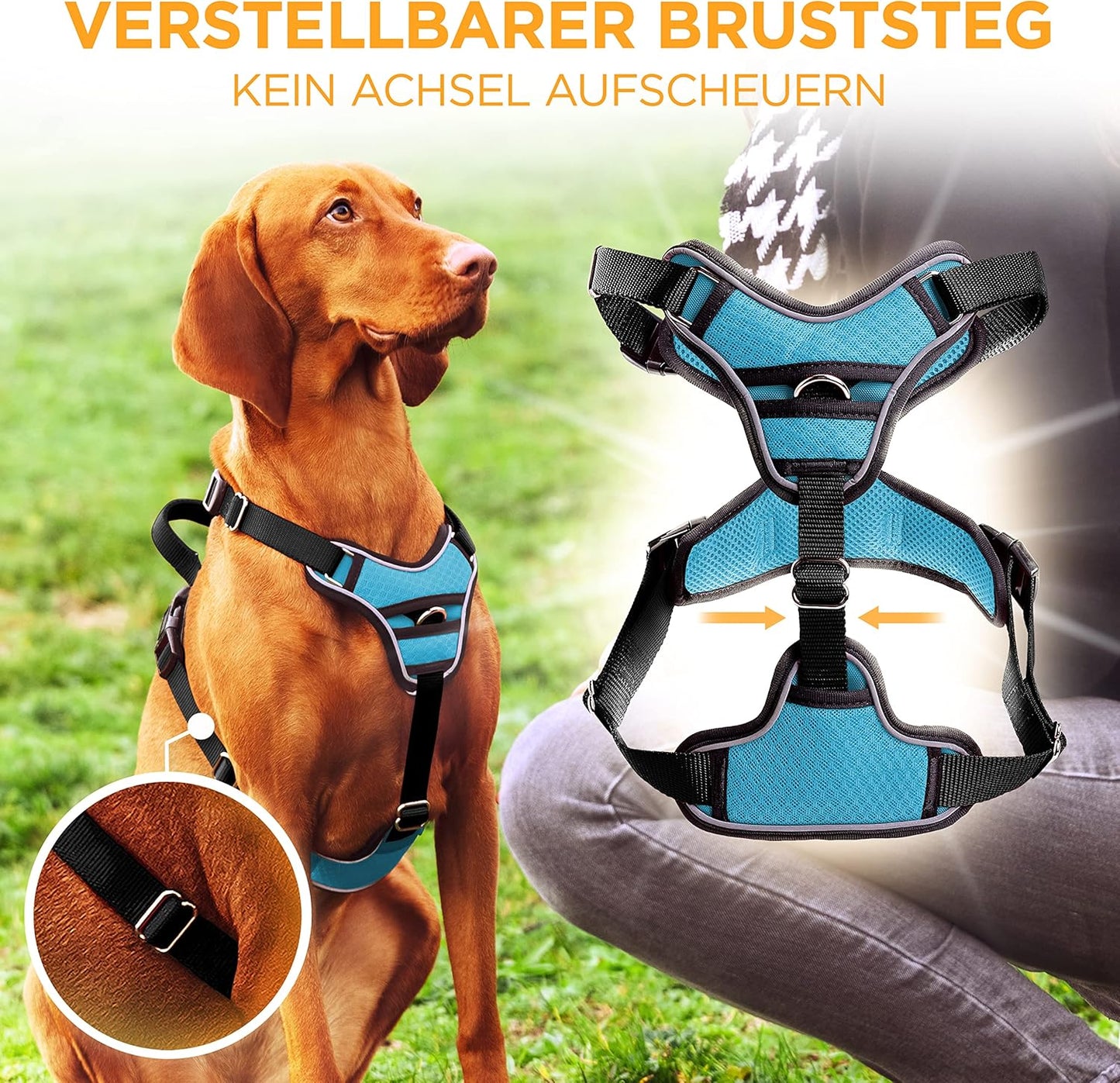 Hundegeschirr, Halsumfang (23-26cm) Brustumfang (30-37cm)|Blau