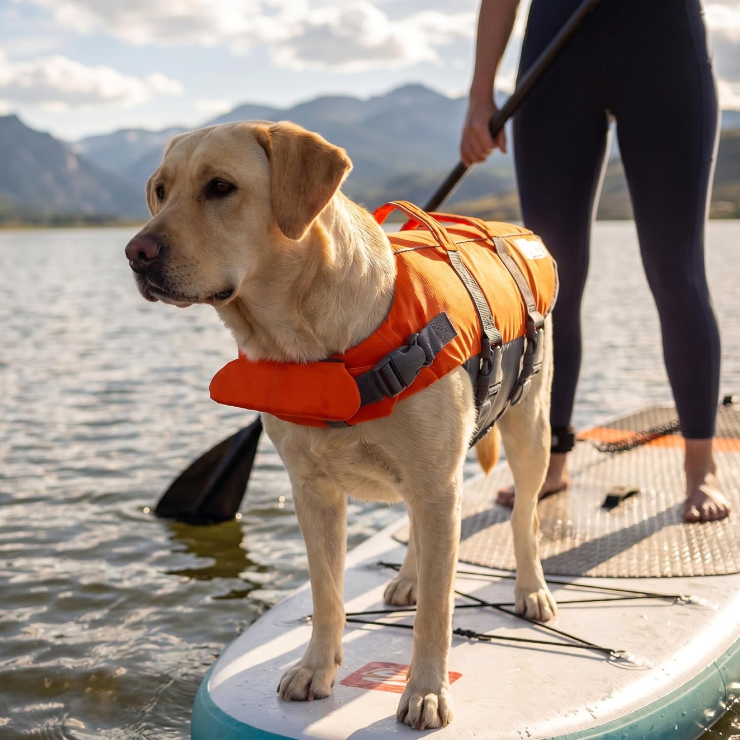 Verstellbare Rettungsweste für Hunde, L