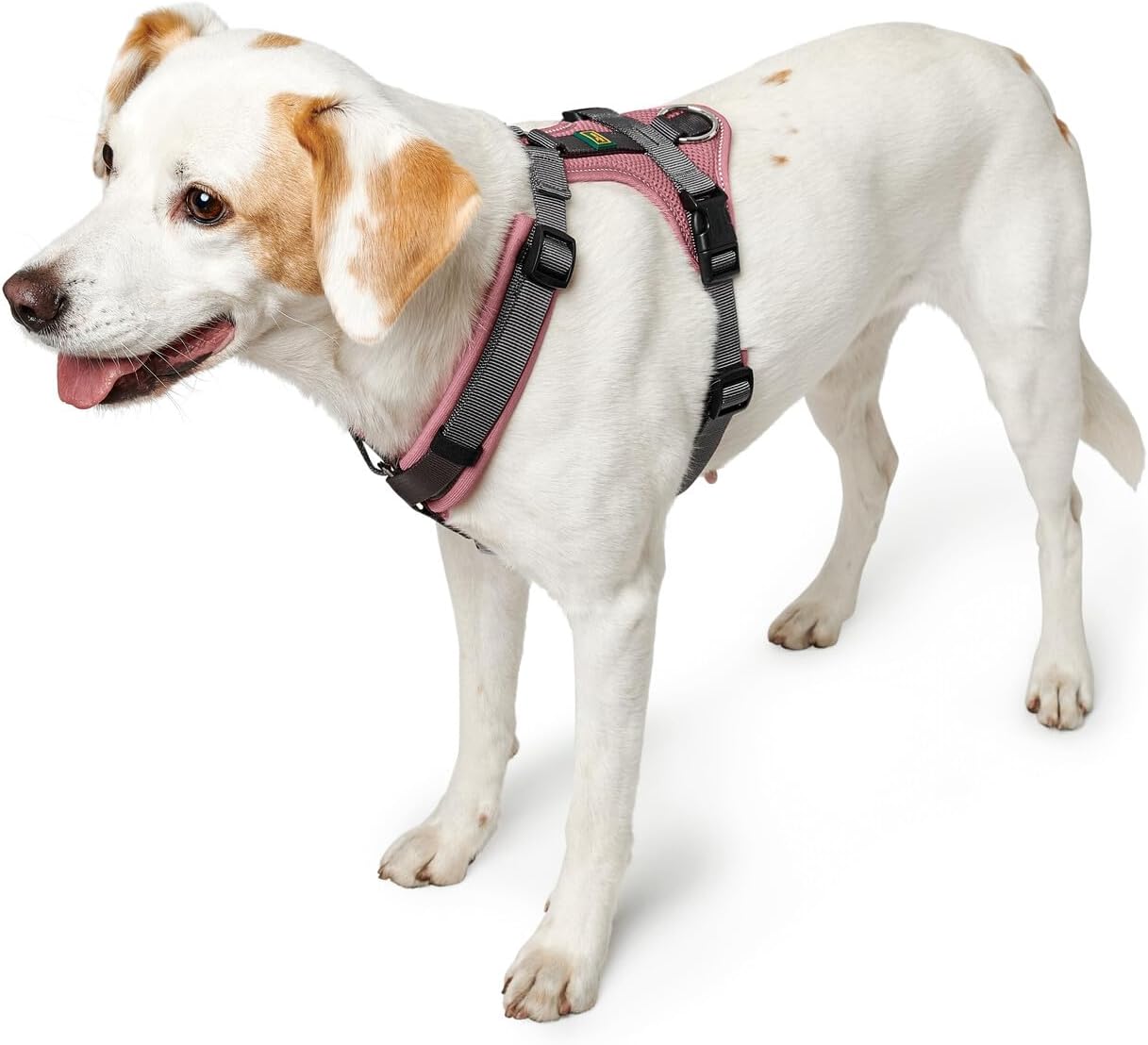 Hundegeshirr Maldon Up, altrosa/grau S-M