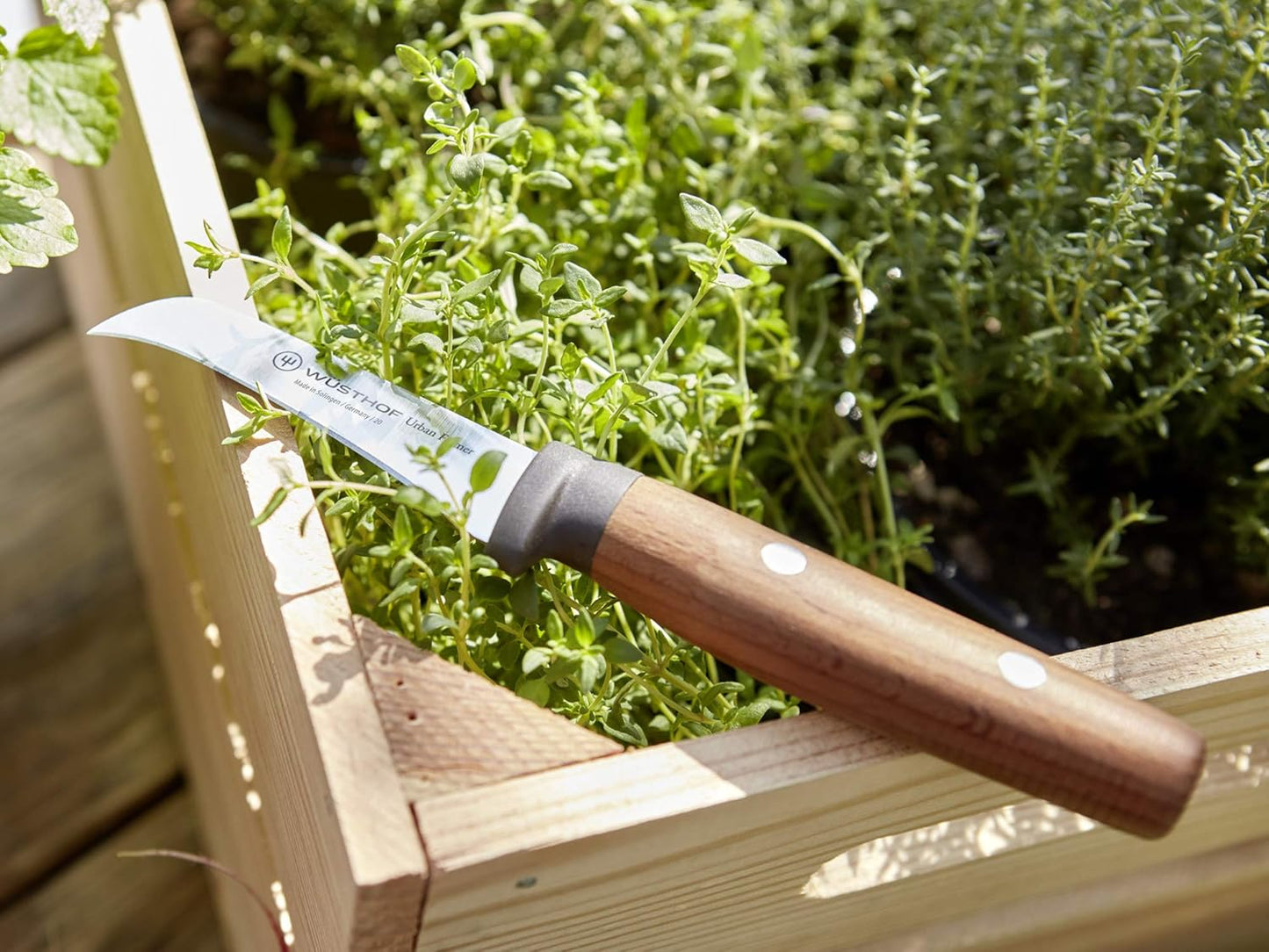 Urban Farmer Erntemesser, 8 cm Erntemesser Single