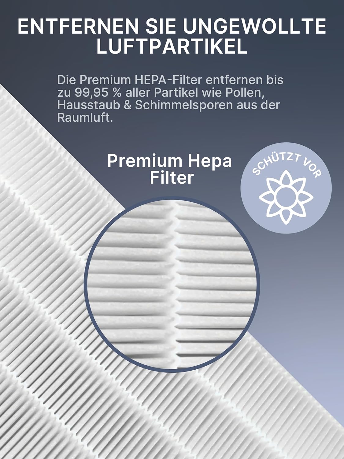 Filter-Set für Philips Luftreiniger Series 1000/1000i, 2