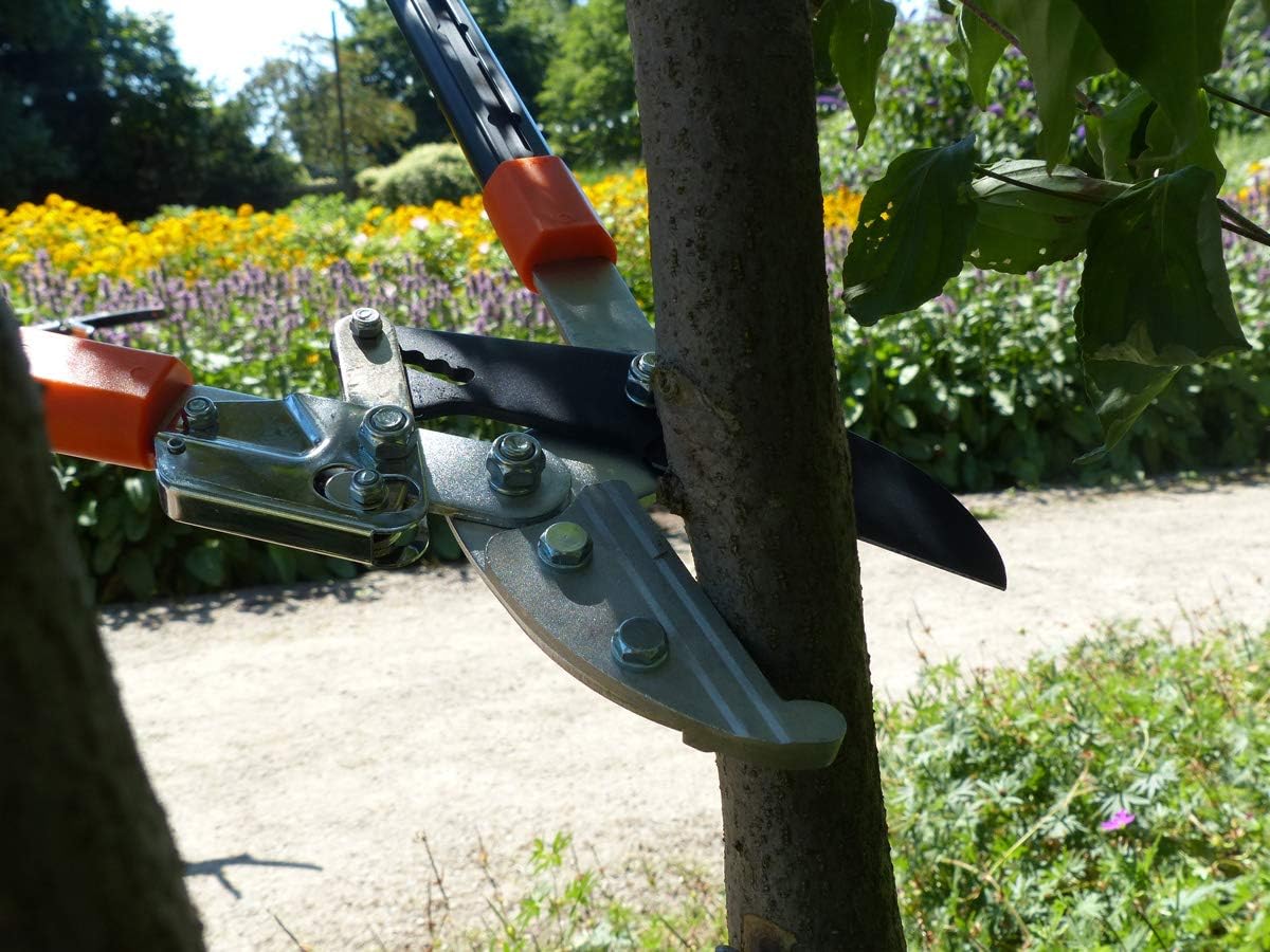 Astschere mit Ratschenmechanismus 67 cm, Single