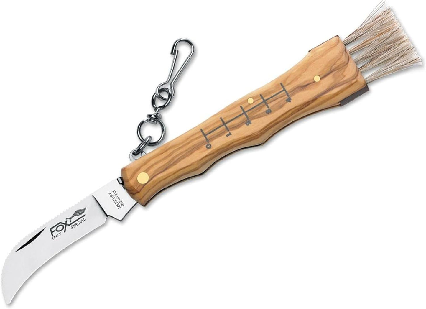 Funghi Taschenmesser