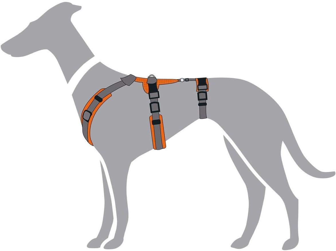 Sicherheitsgeschirr Maldon, S-M orange/grau