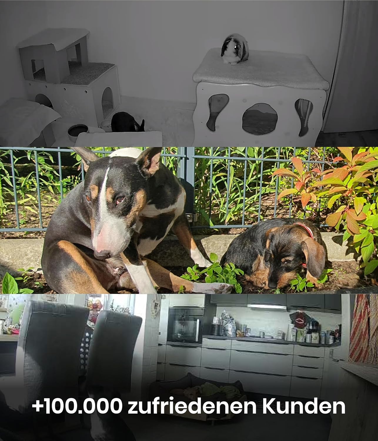Outdoor Haustierkamera mit 2-Wege-Audio, PetCam Free Outdoor geeignet mit Akku