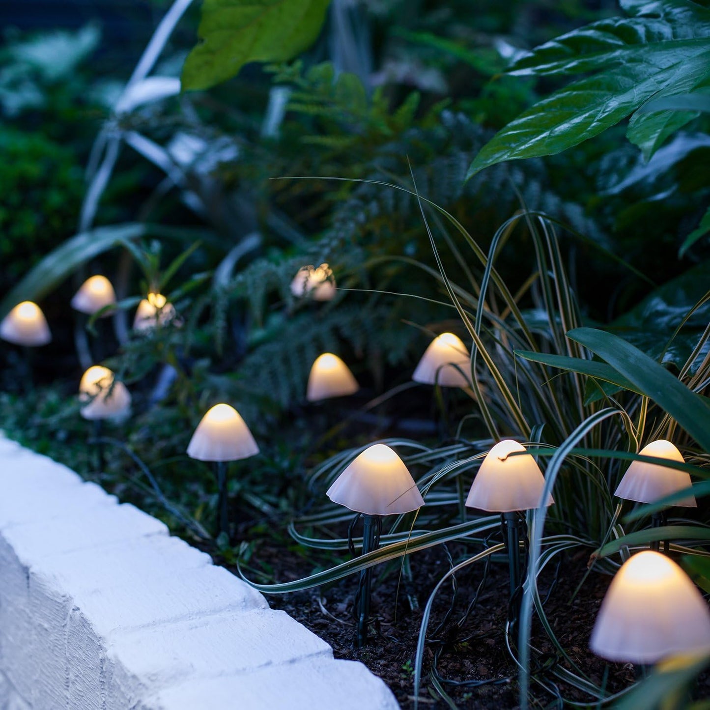 Pilz-Lichterkette