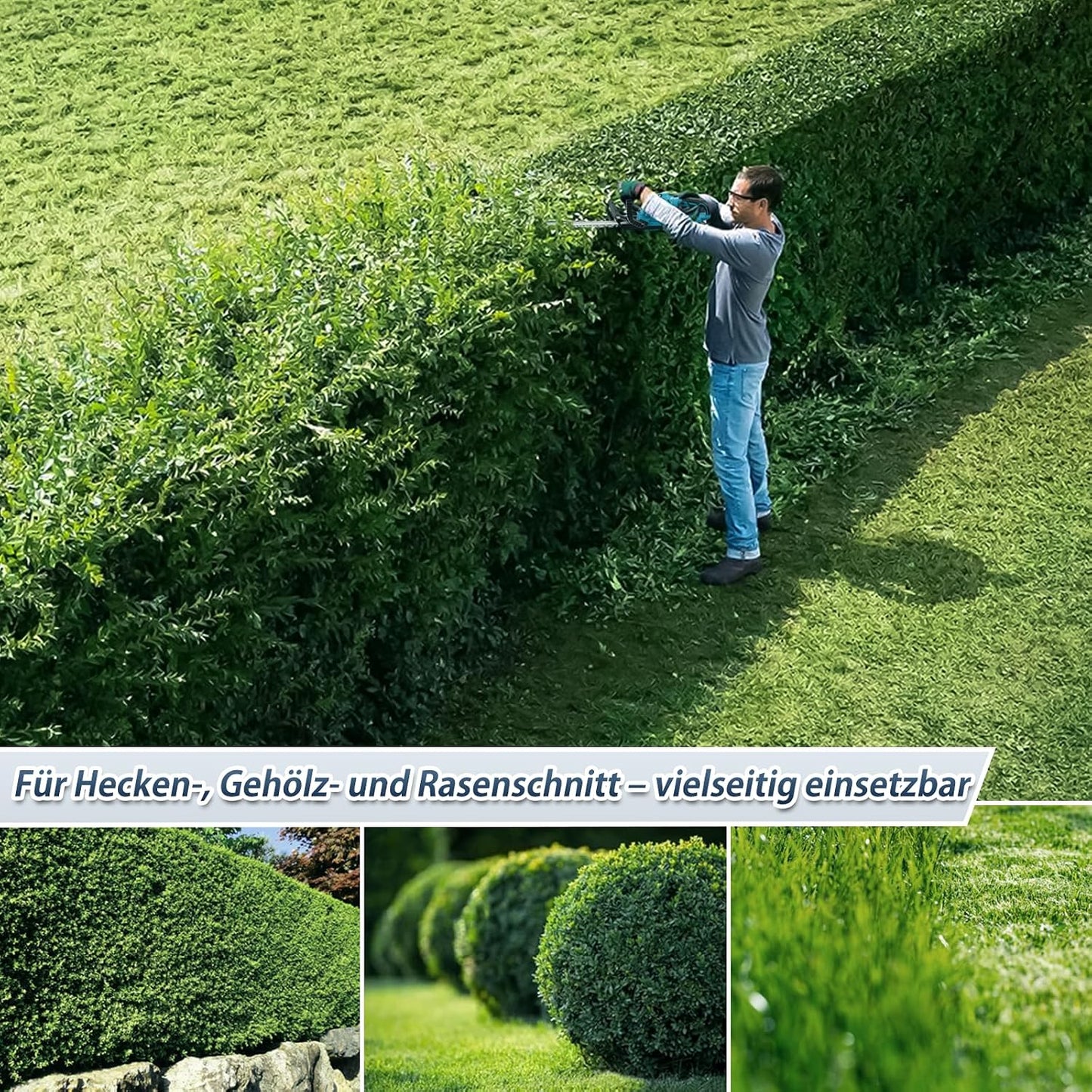 Akku-Heckenschere