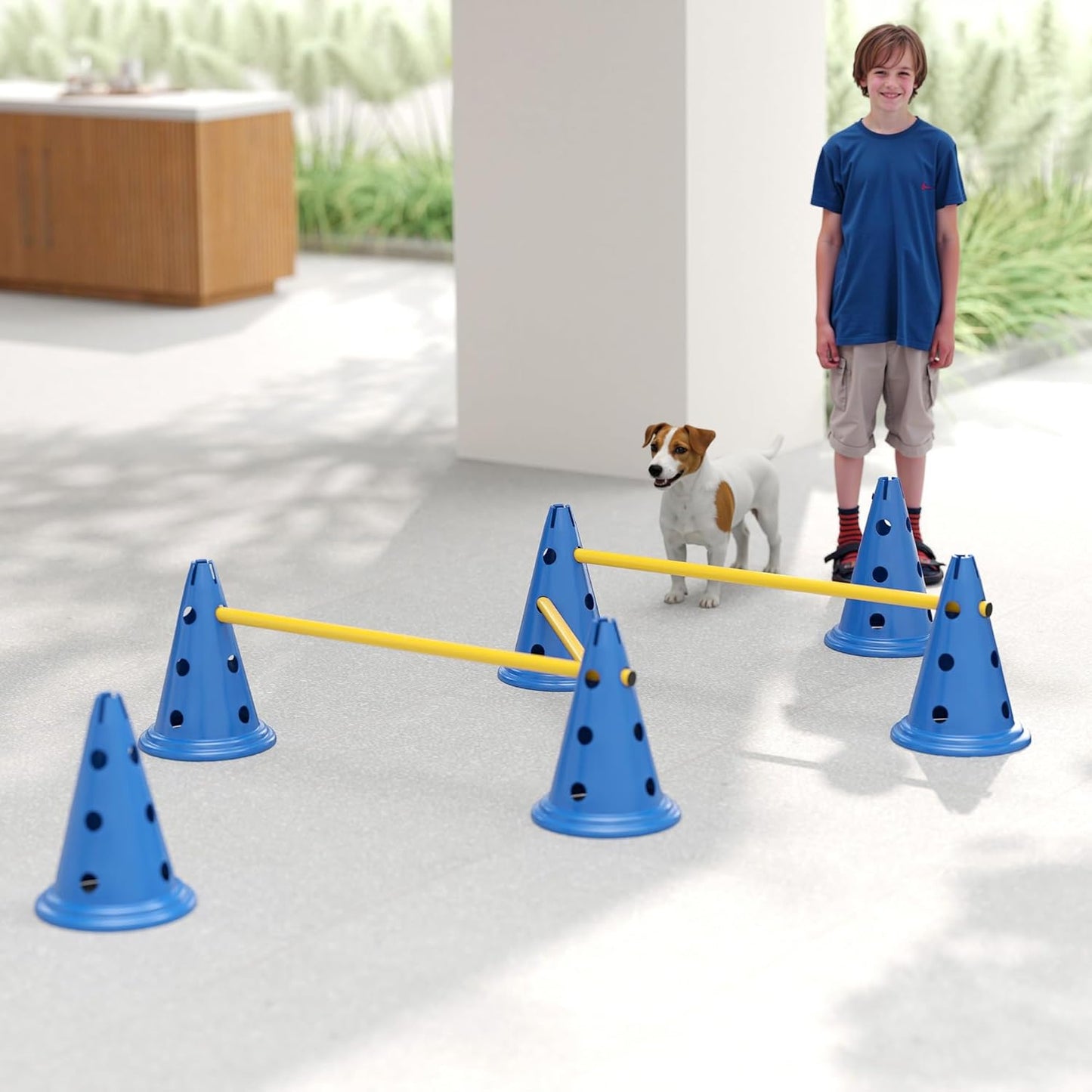 3-teiliges Agility-Trainingsset für Hunde, 3-teilig Blau