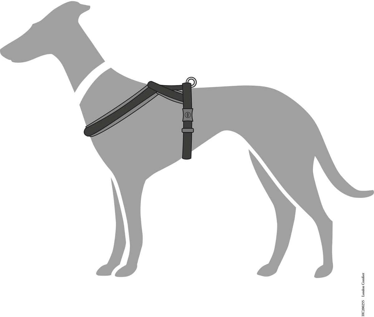 Hundegeschirr London Comfort, atmungsaktiv, verstellbar, schwarz S-M/2