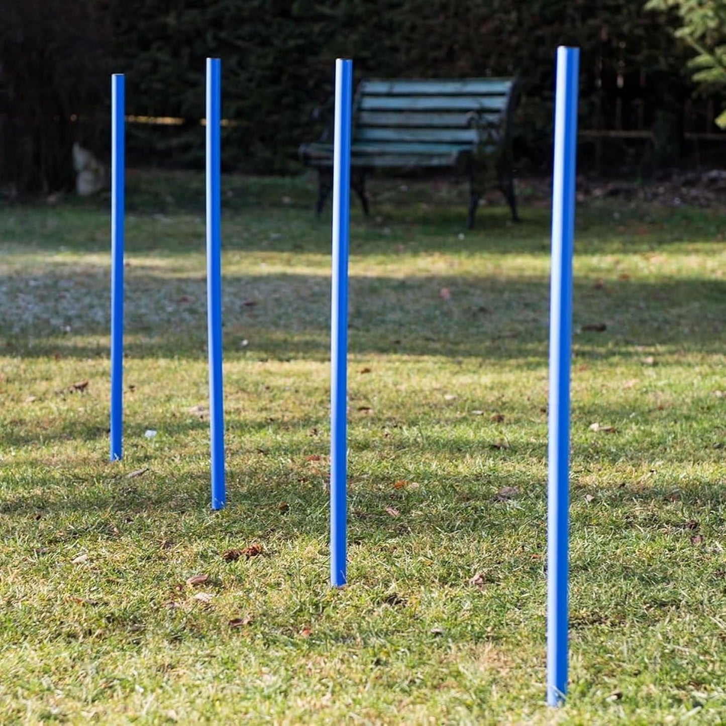 Agility Hundetraining-Set mit Hürden & Slalomstangen, Set ohne Tunnel