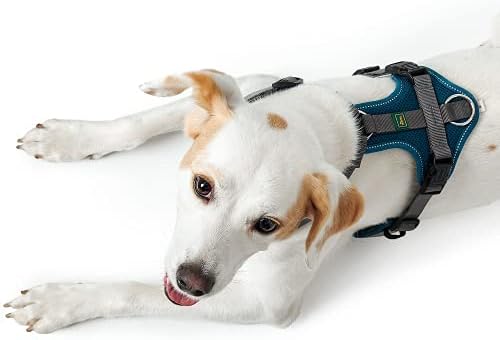 Hundegeschirr Maldon, petrol/grau XS