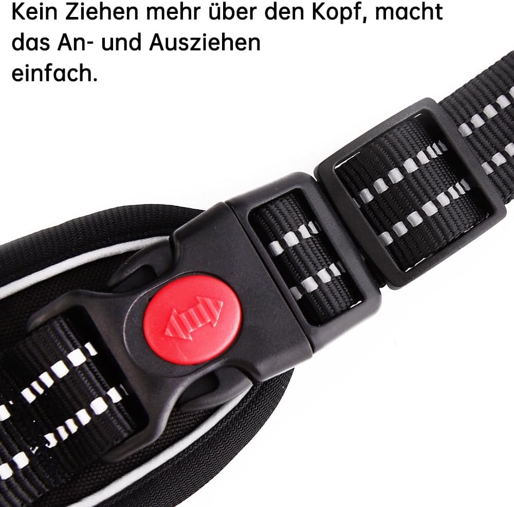 Hundegeschirr-Set inkl. Leine mit Reflexstreifen, M