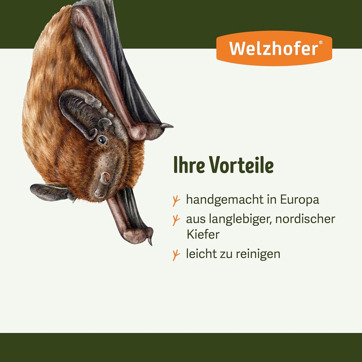 Fledermauskasten Jessi
