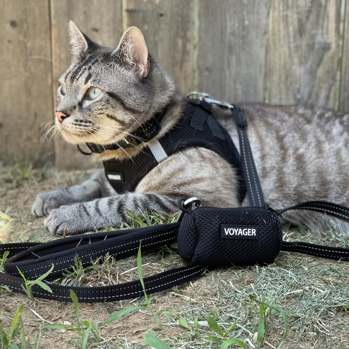 Step-In Air Hundegeschirr, L (Chest: 18 - 21 1Black Base