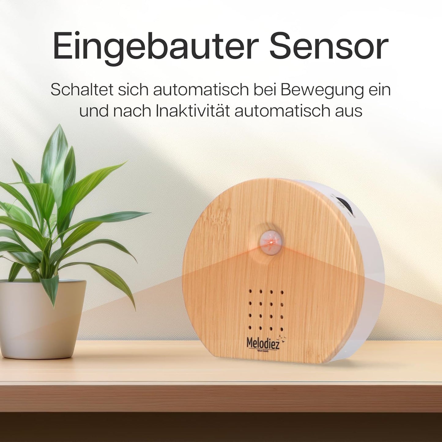 Box mit Naturgeräuschen, Holz