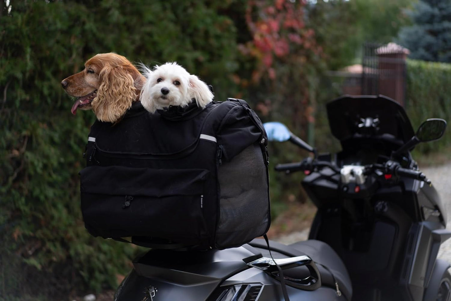 Motorrad-Hundetasche, Double