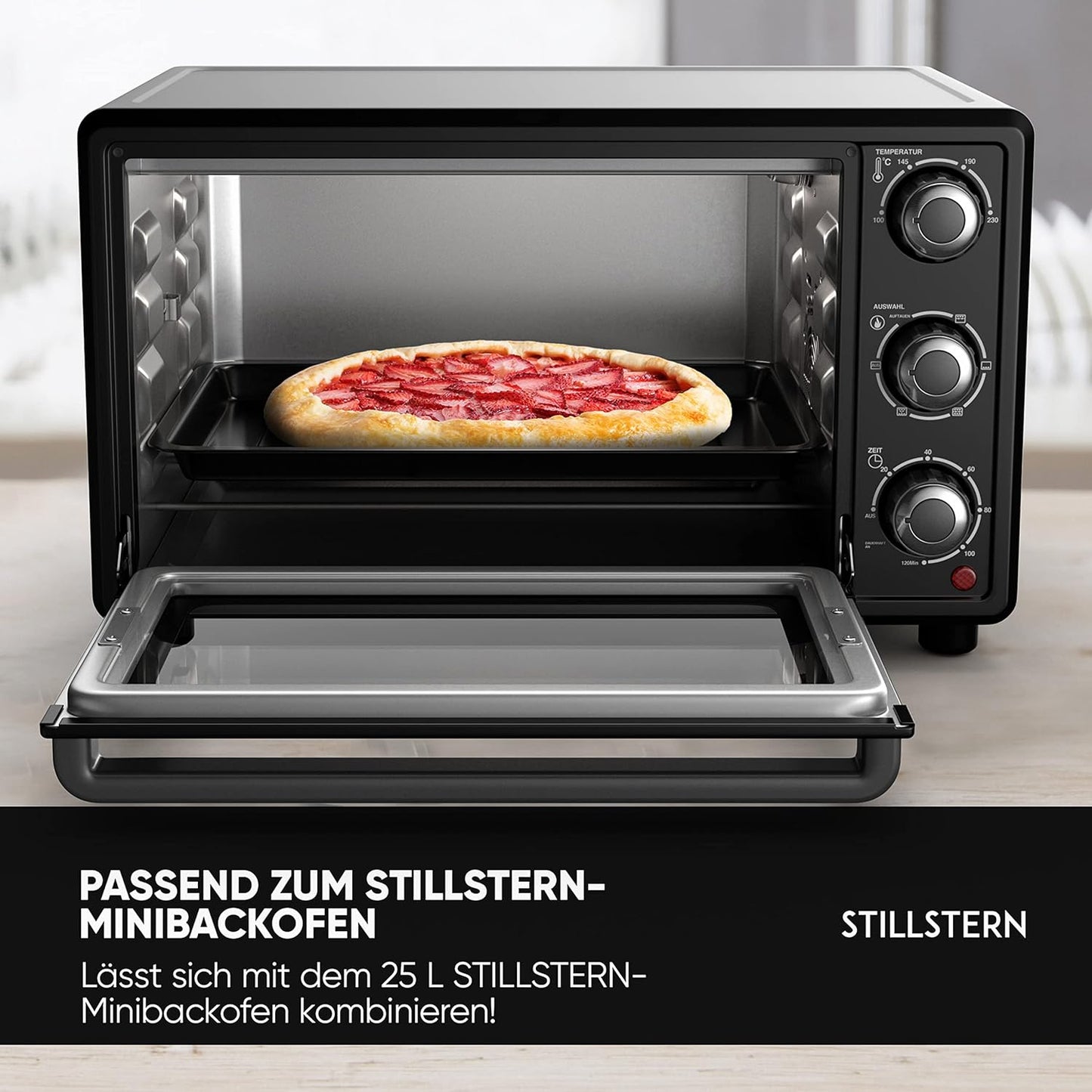 Backblech für 25L Minibackofen