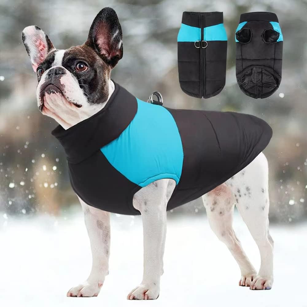 Wasserdichter Hundemantel, Blau 3XL