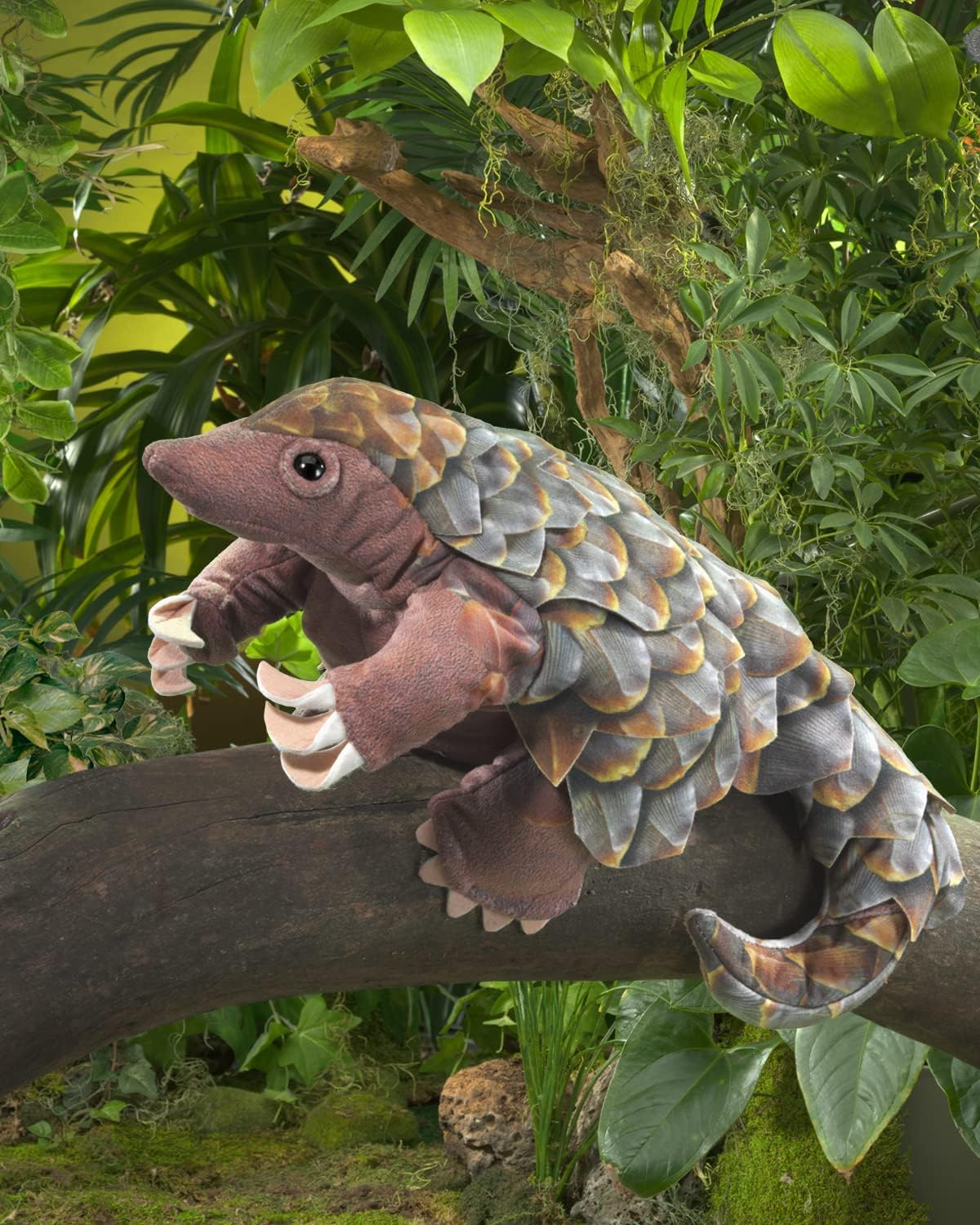 Tannenzapfentier Pangolin