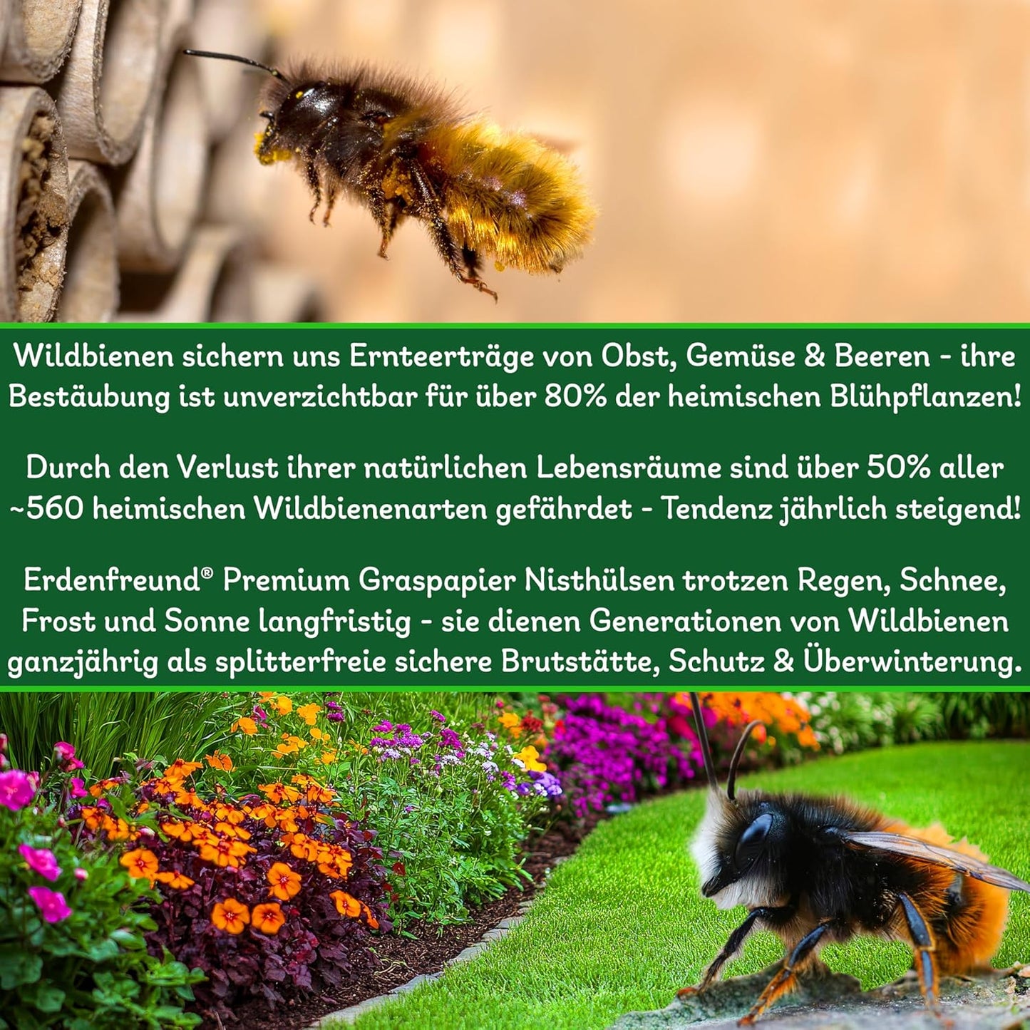 Niströhren für Wildbienen, 2 x 250 Stück, 2x250 Premium Wildbienen Nisthülsen 6 & 8mm