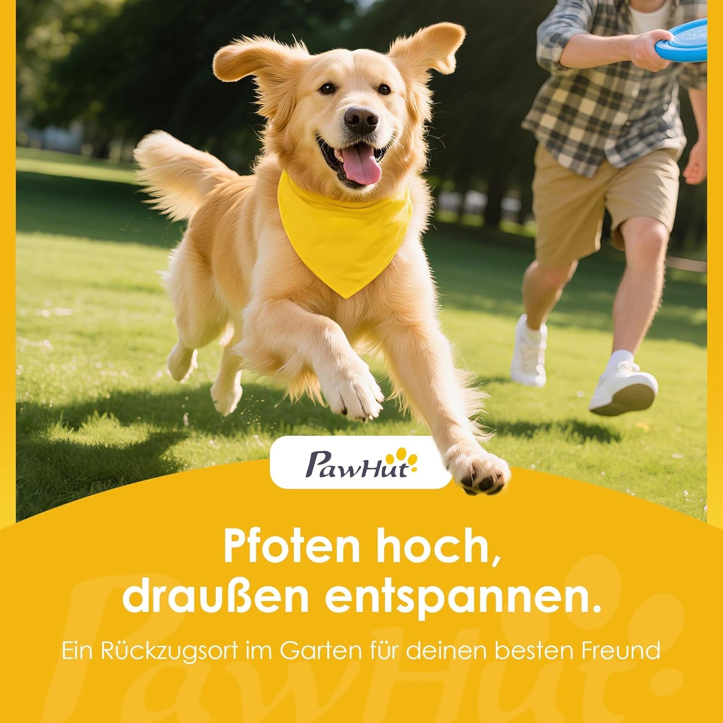 Agility Trainingsset, Blau