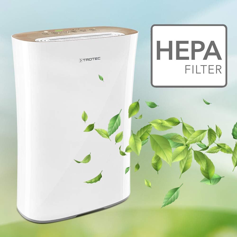 HEPA-Filter H13 für AirgoClean 110 E Luftreiniger