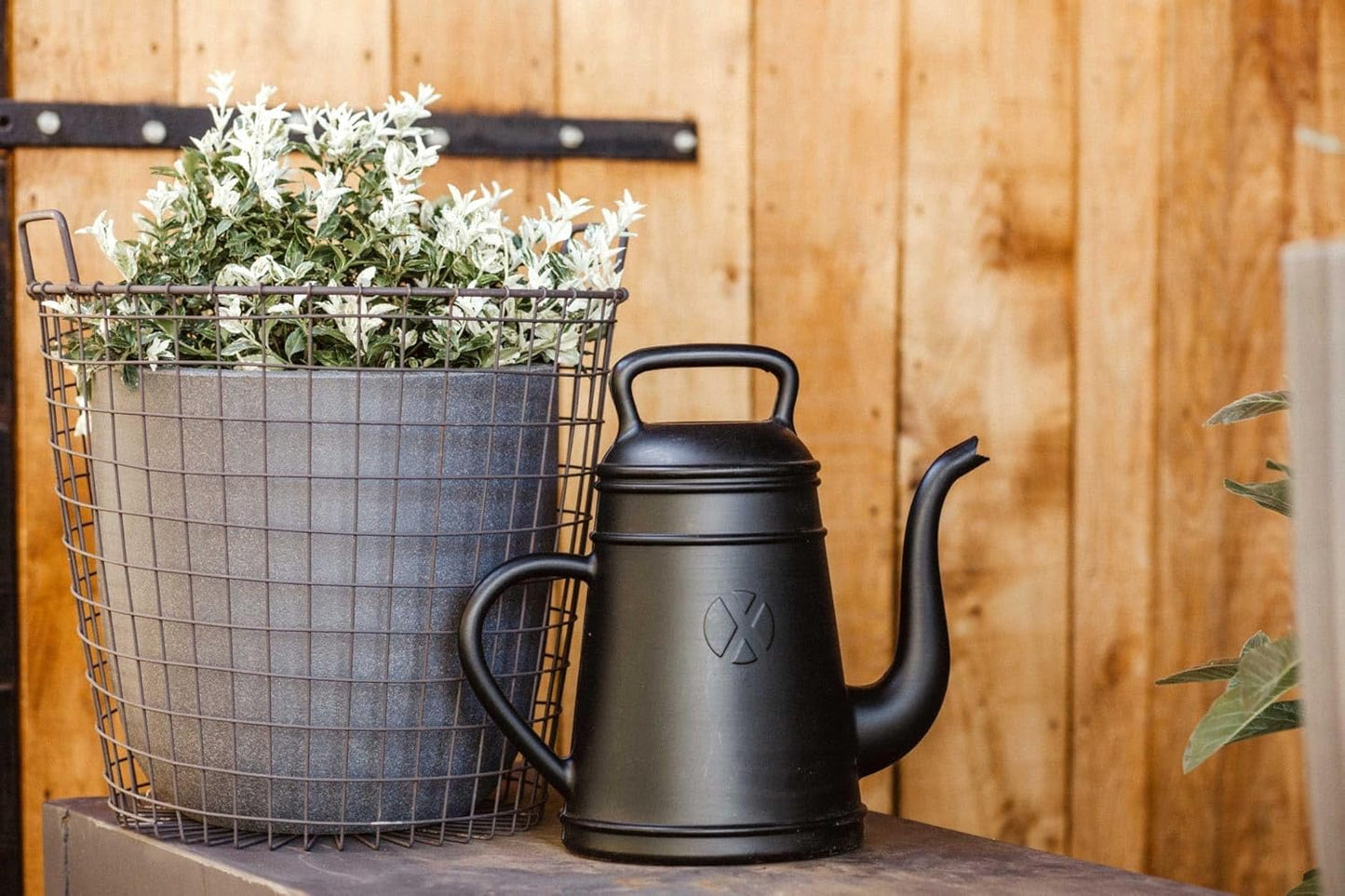 Giesskanne Lungo 12L für Innen- und Ausseneinsatz, Altgrün 46x26x43 (12L)