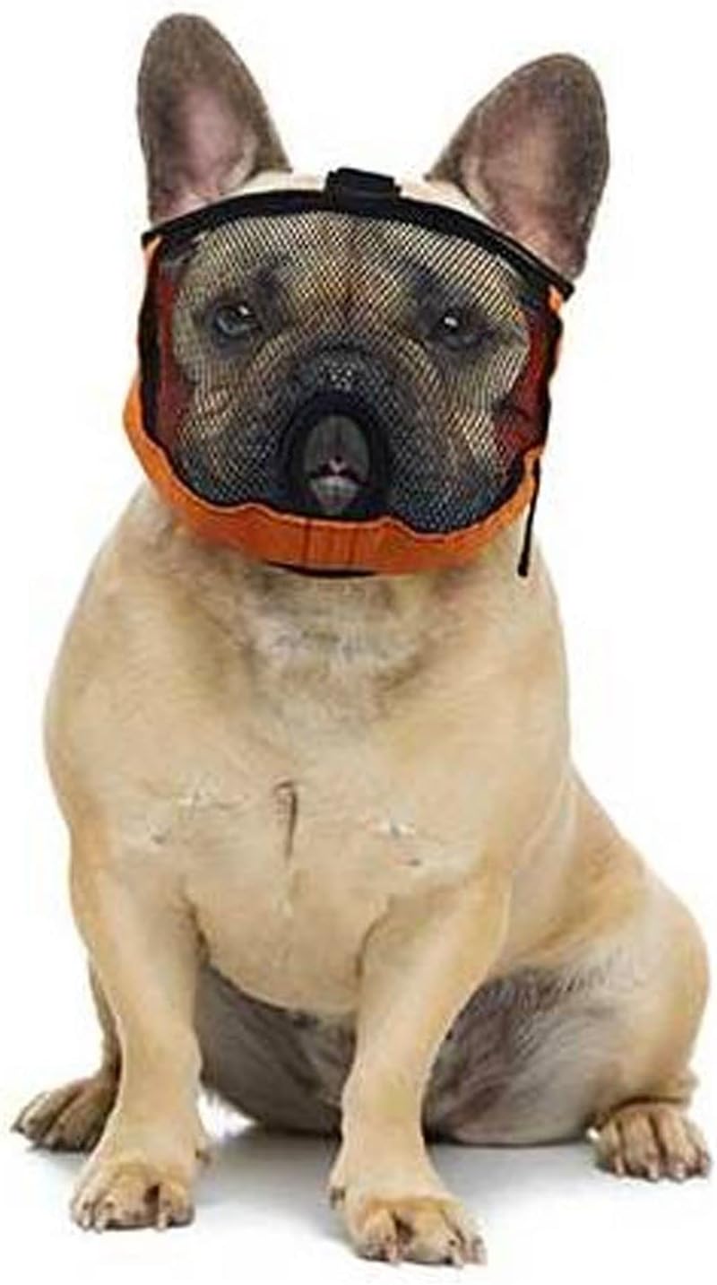 Hundemaulkorb für flache Schnauzen, XS Kopfumfang: 32 - 44cm