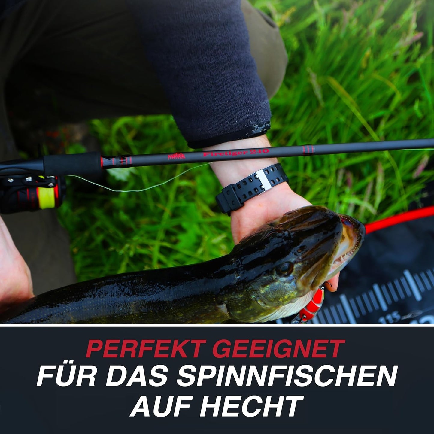 Spinnrute, 2,7m 20-60g / Rute