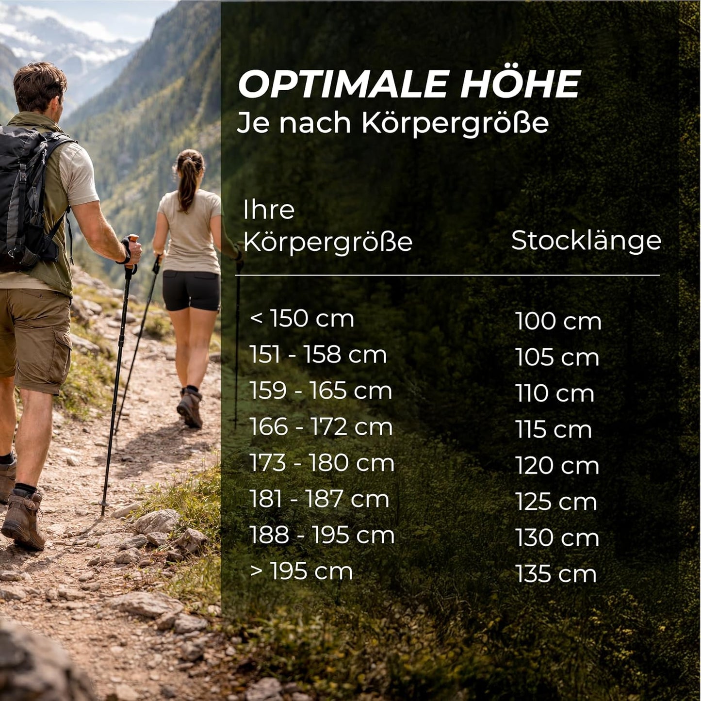 Teleskopische Wanderstöcke mit Korkgriff, Carbon