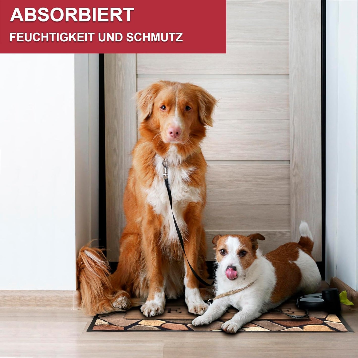 Rutschfeste Schmutzfangmatte Welcome 2, Welcome 2 60 x 80 cm (Rechteckig)