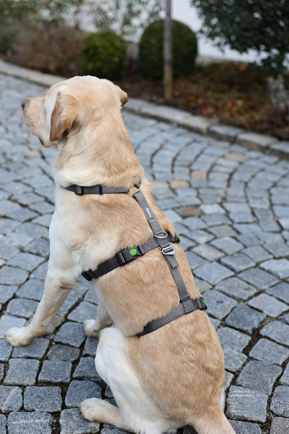 Panikgeschirr/ Hundegeschirr Miami, Grau 55 - 74 cm