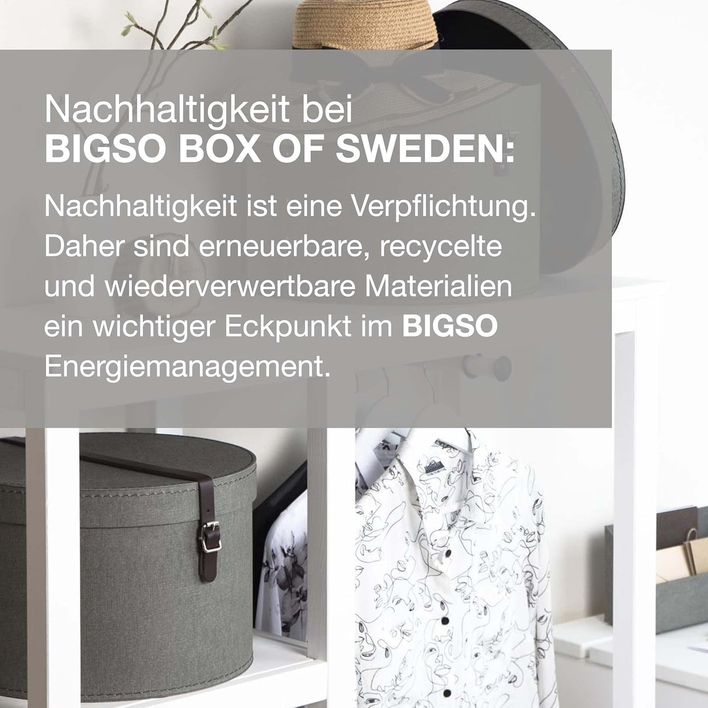 2 x Aufbewahrungsboxen mit Deckel, Grau