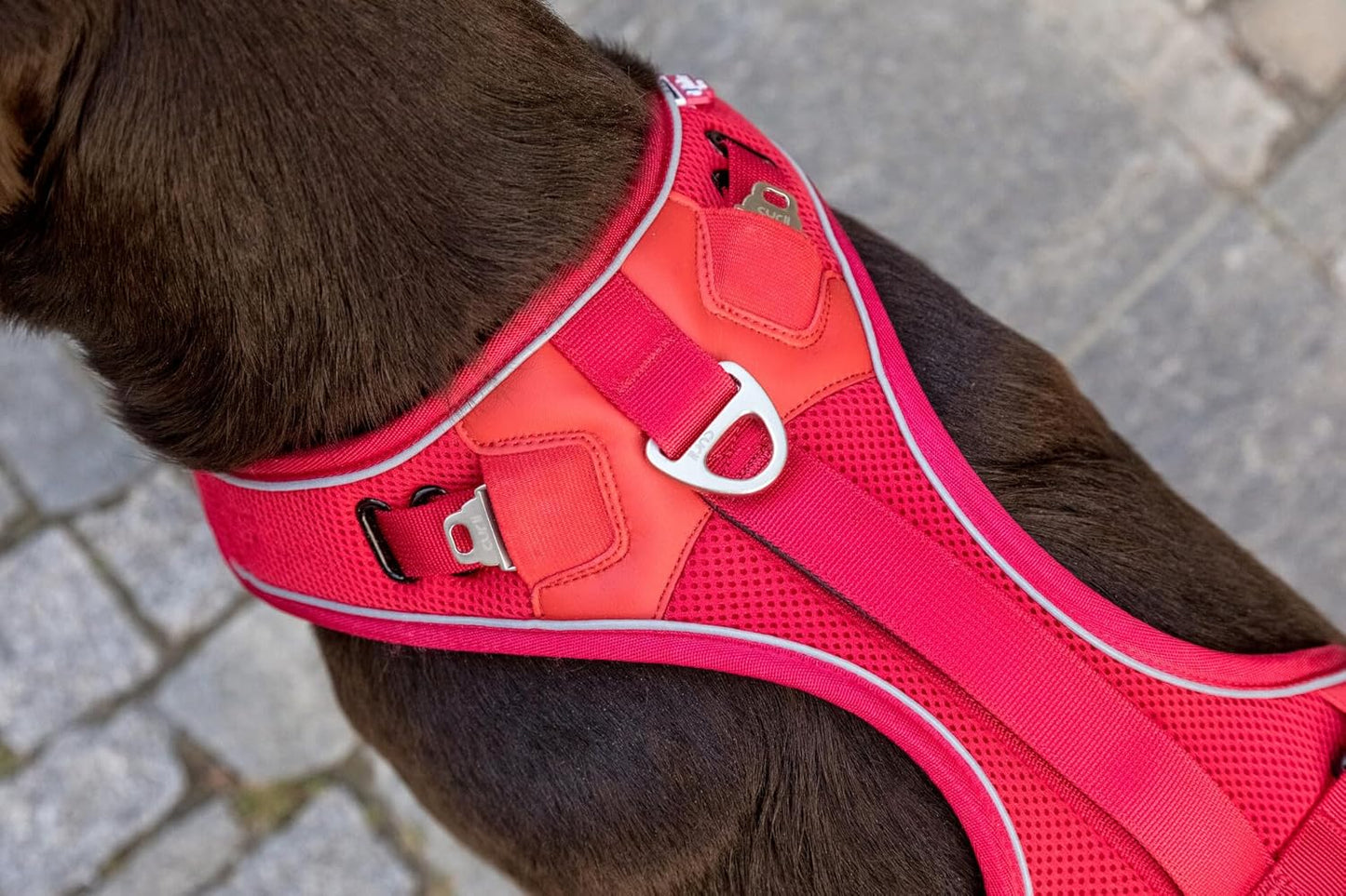 Belka Harness Hundegeschirr, verstellbar, reflektierend, inkl. DogFinder ID, S, Red