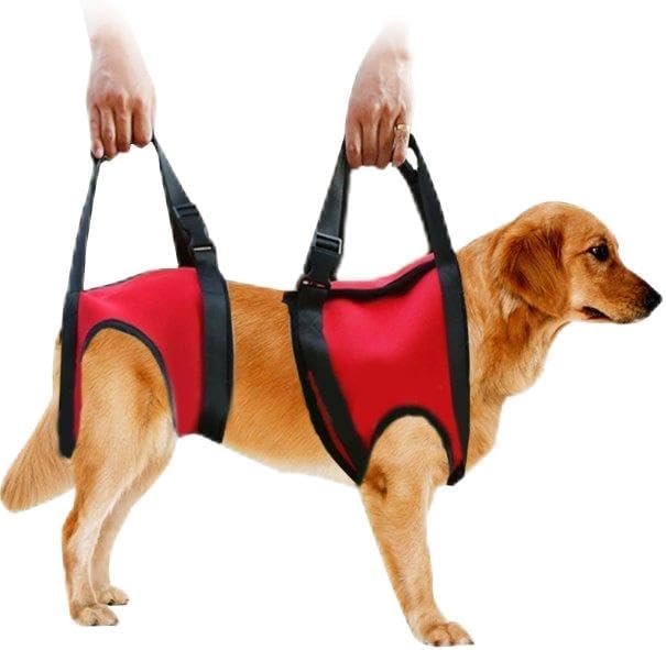 Hunde-Tragehilfe für ältere & verletzte Hunde, Rot - Hinteres Bein M