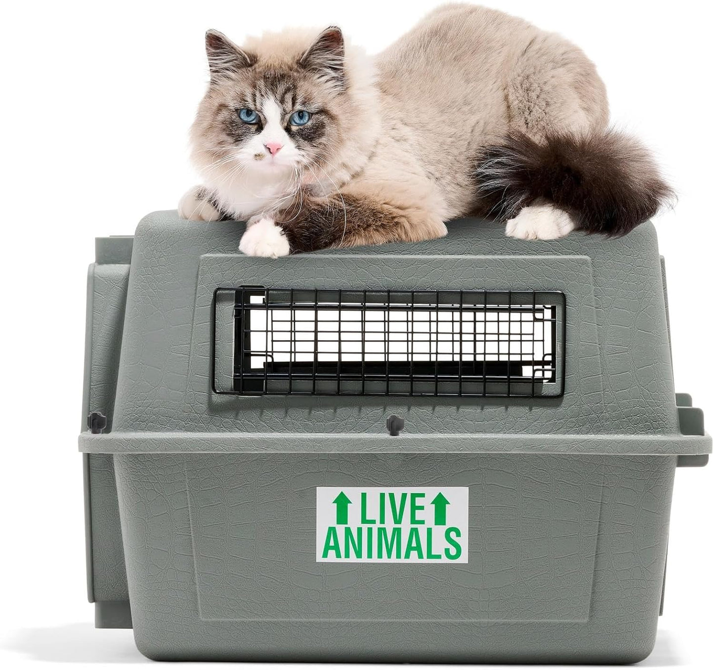 Skykennel Transportbox
