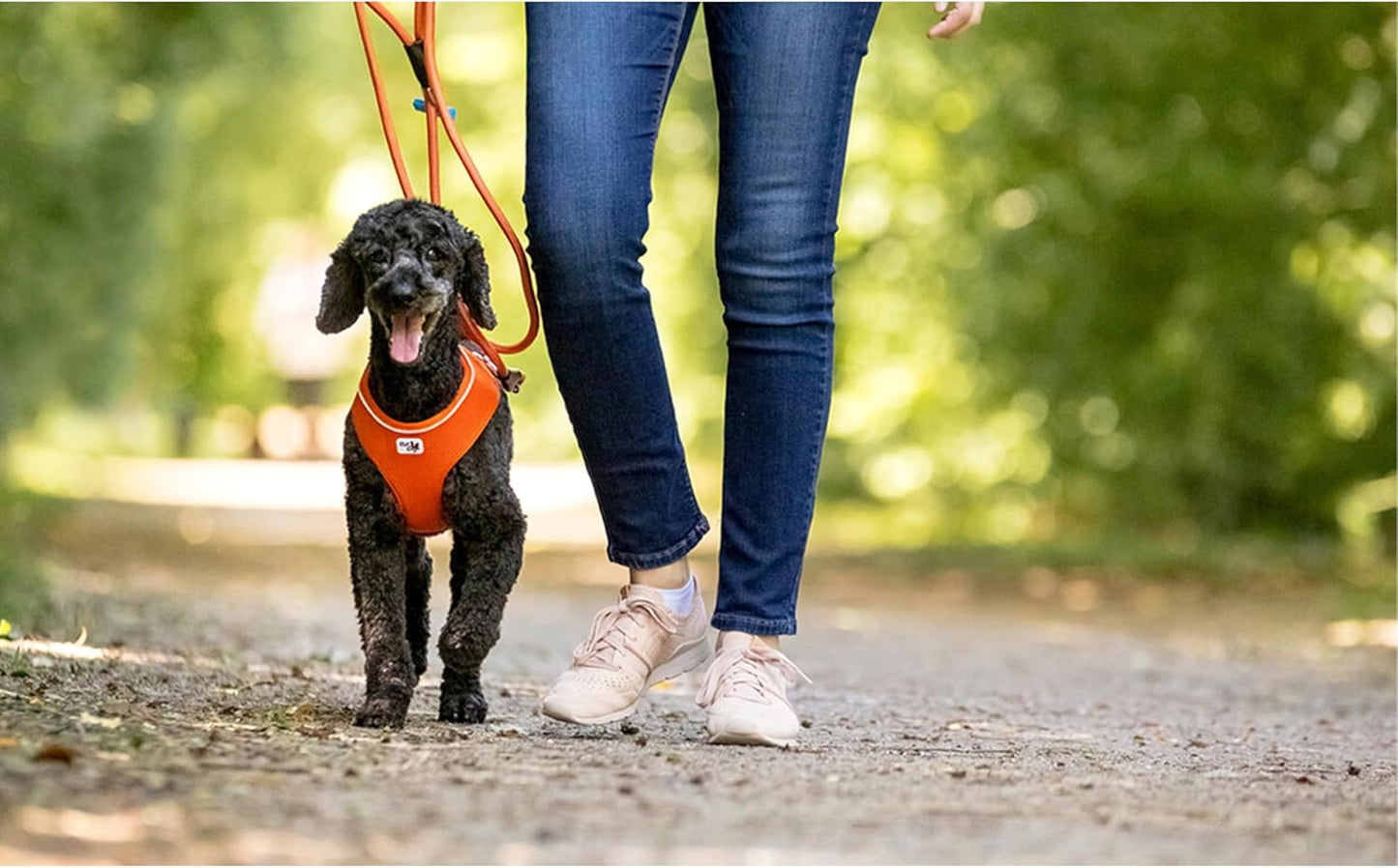 Basic Harness Air-Mesh, M Black