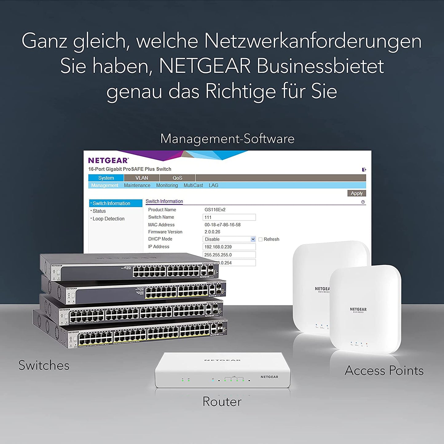 GS108E, Switch