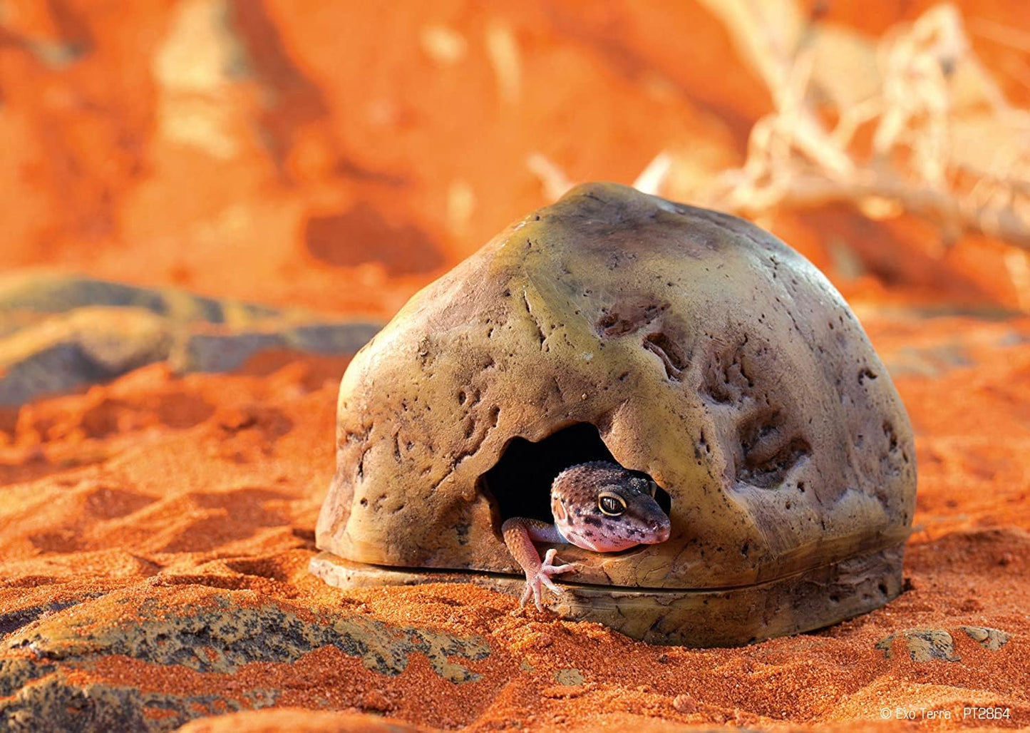 Gecko Höhle für Reptilien und Amphibien, Medium