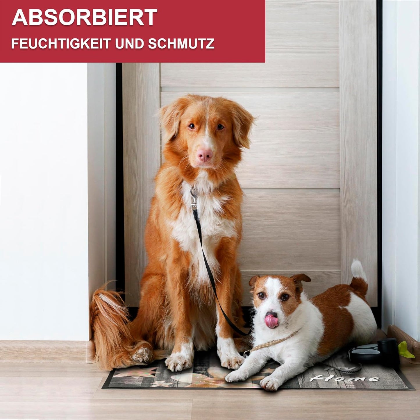 Schmutzfangmatte, Welcome 1 60 x 80 cm (Rechteckig)