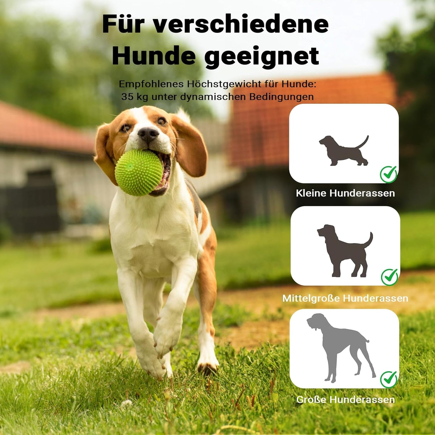 Hundewippe