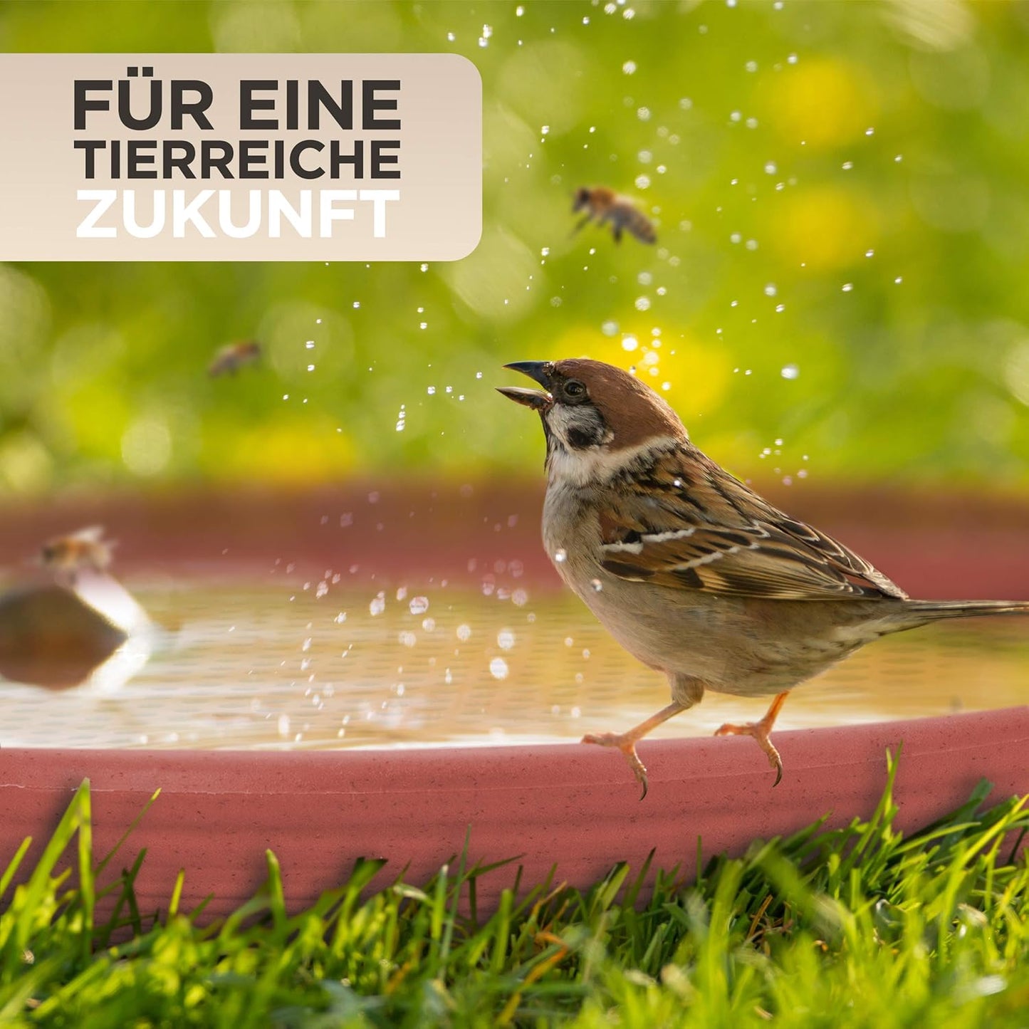 Vogeltränke und Insektentränke stehend, frostsicher, terracotta