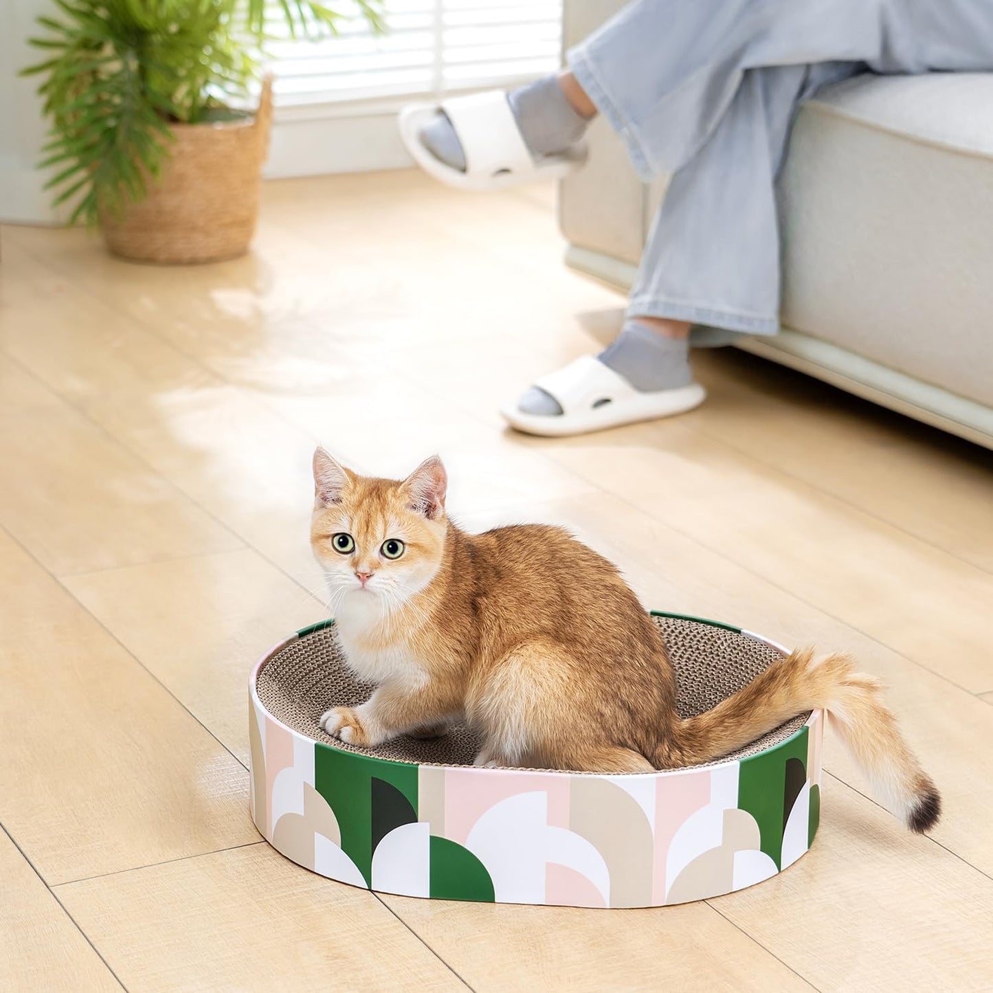Kratzbrett und Katzenbett, Katzen Kratzbett Halbkreis