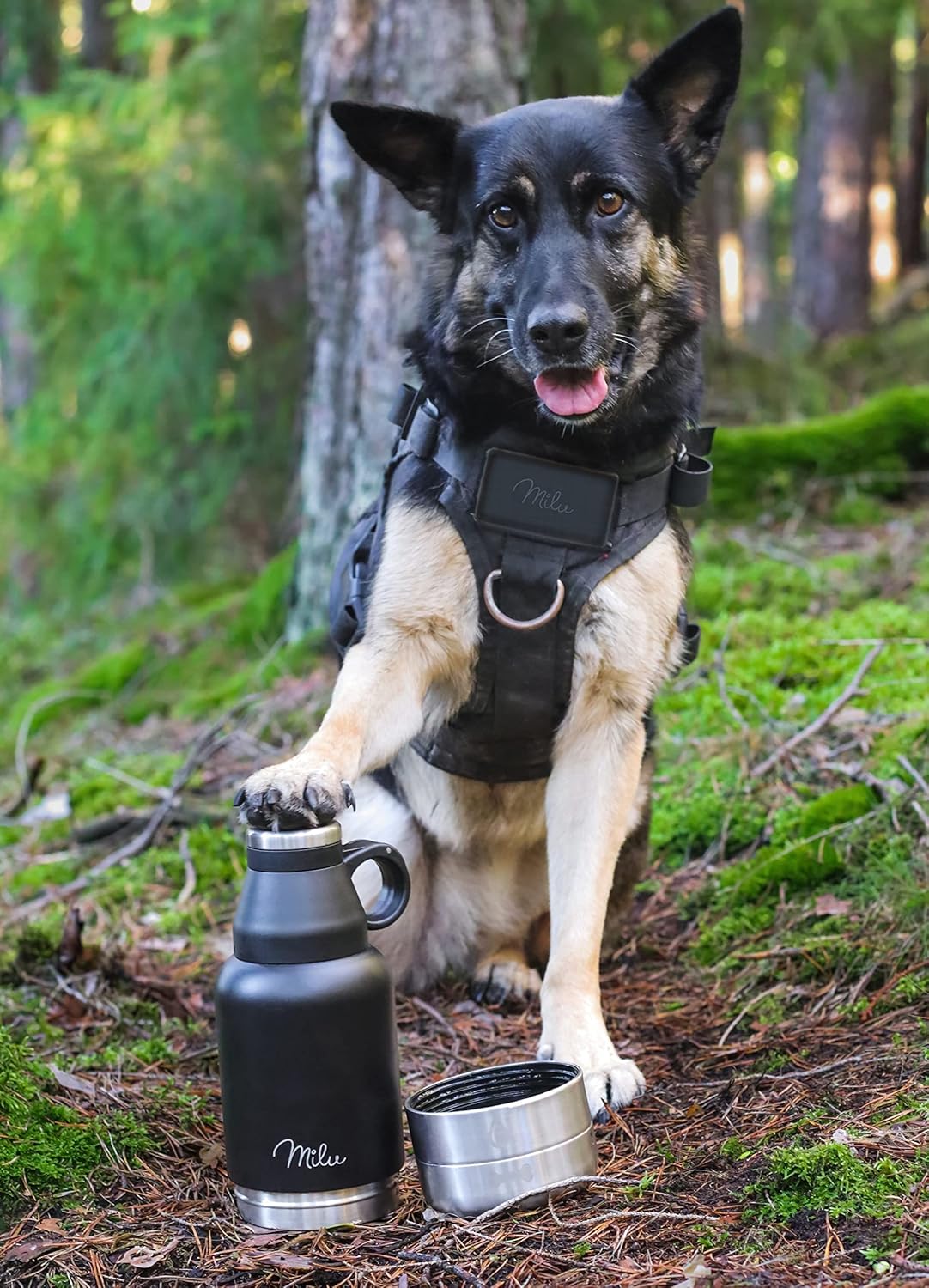 Hundetrinkflasche mit Futternapf, Schwarz