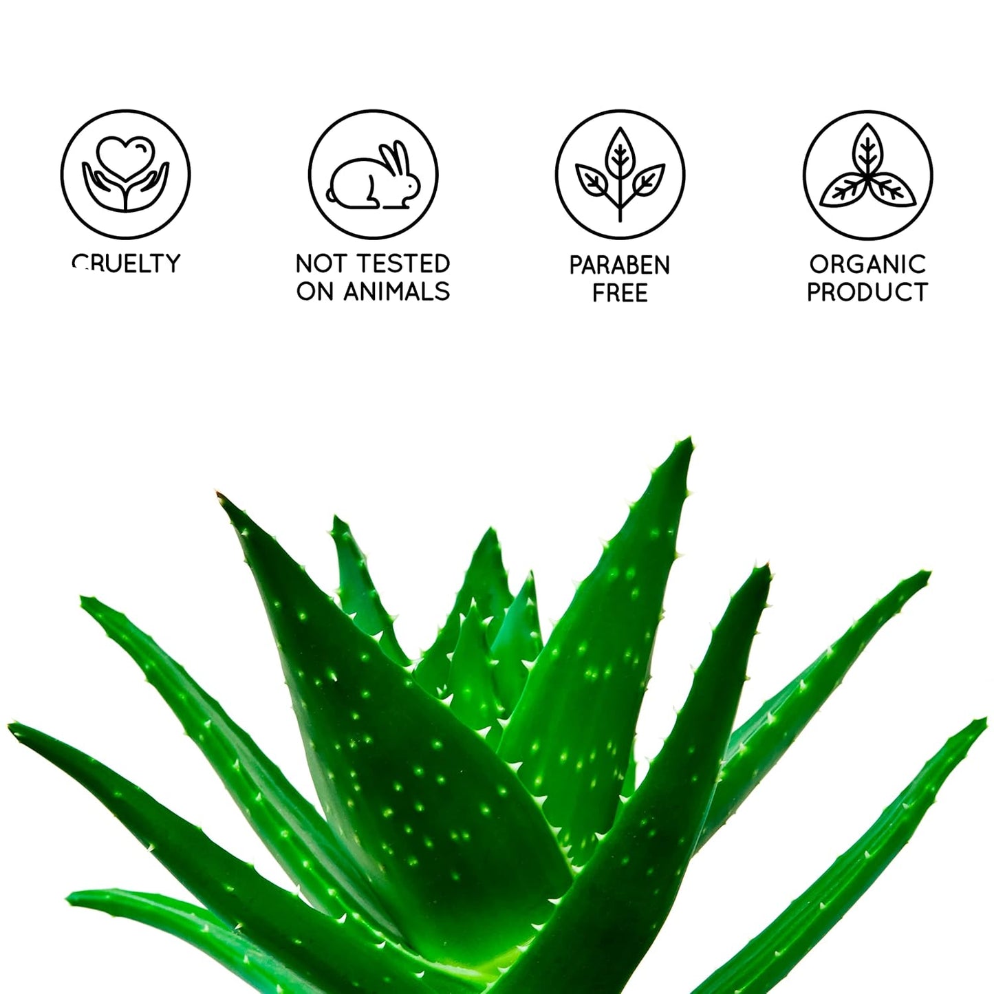 Natürliches Aloe Vera Gel, Aloe Vera / 1 l (1er Pack)