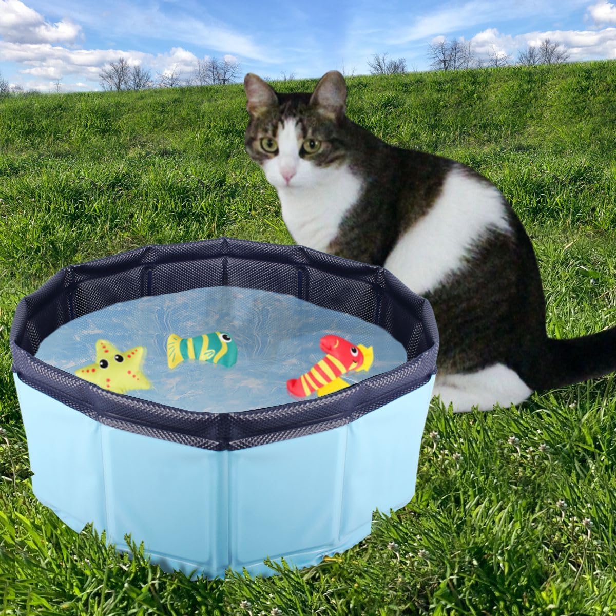 Faltbarer Katzen-Pool