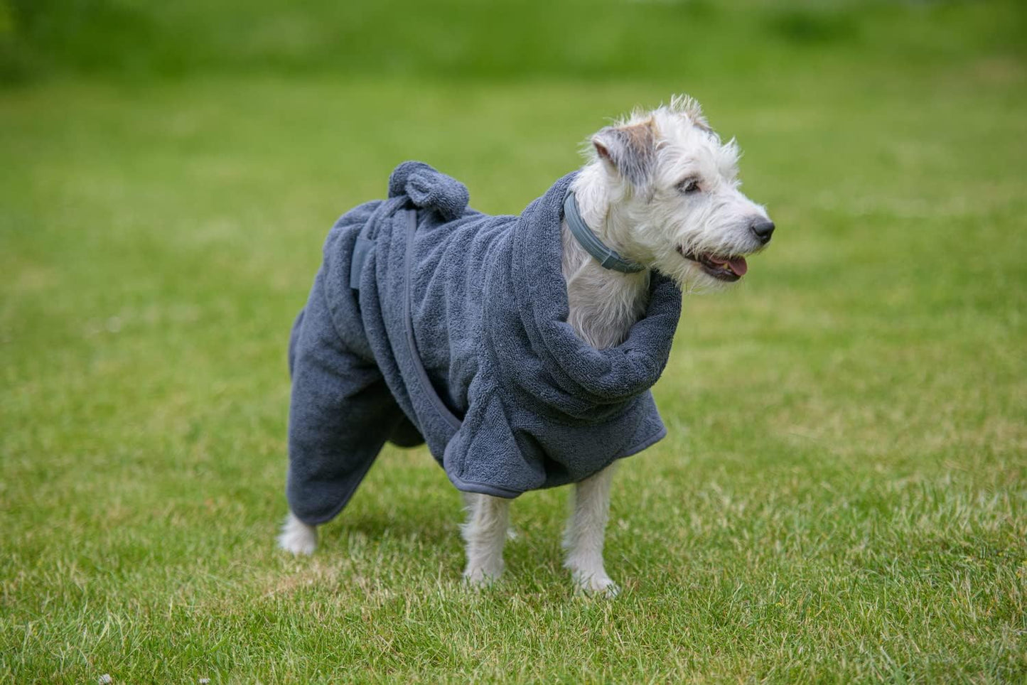 Hunde Bademantel mit Bindegürtel, XS/S, Grau